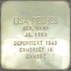 Lisa Reches