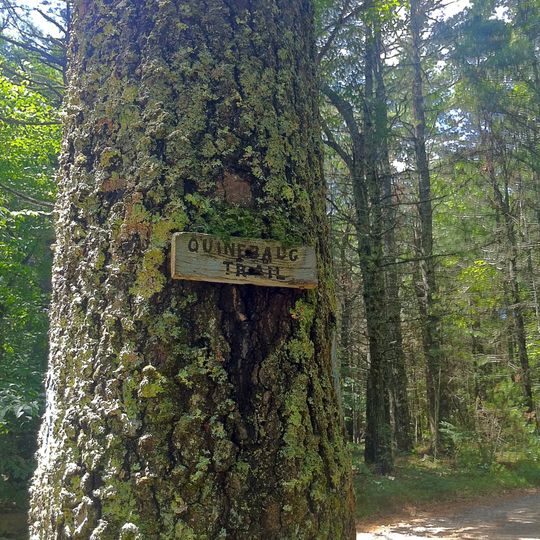 Quinebaug Trail