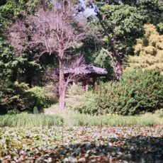 Korea National Arboretum