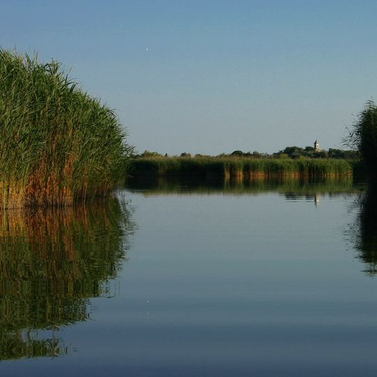 Velencei madárrezervátum