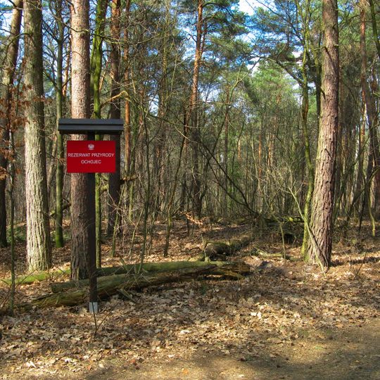 Rezerwat przyrody Ochojec