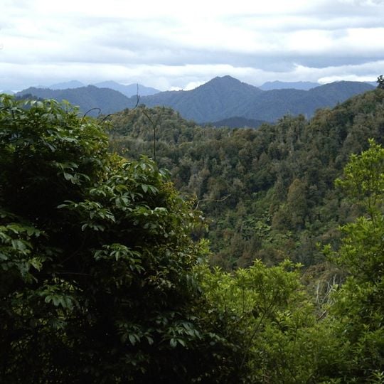 Te Urewera National Park