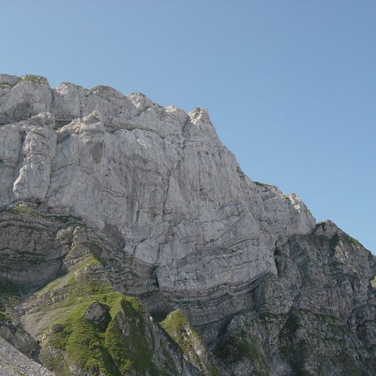 Tomlishorn
