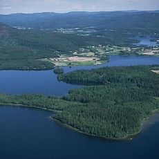 Gallsätter and Yttered