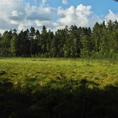 Mellomsjömyren, Dala