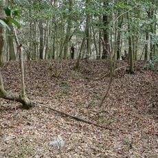 Cooner's Cattle Mound