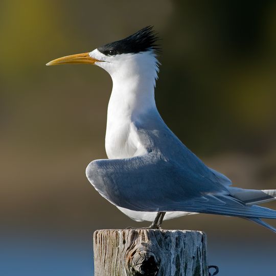 Claremont Isles National Park
