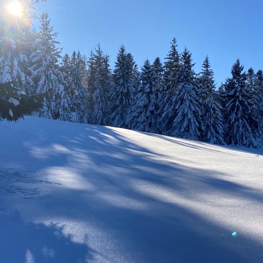 Mont Dore Aventures