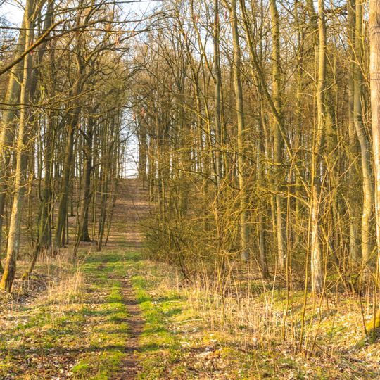 Hořiněveská bažantnice