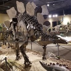 Glendive Dinosaur & Fossil Museum