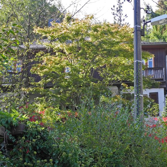 Sog. Neger-Villa mit Park am Forstbotanischen Garten Am Forstgarten 1