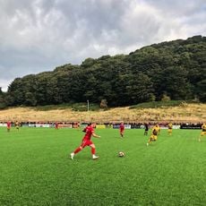 Flamingo Land Stadium