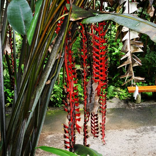 World Botanical Gardens