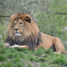 Ogród zoologiczny w Pilźnie
