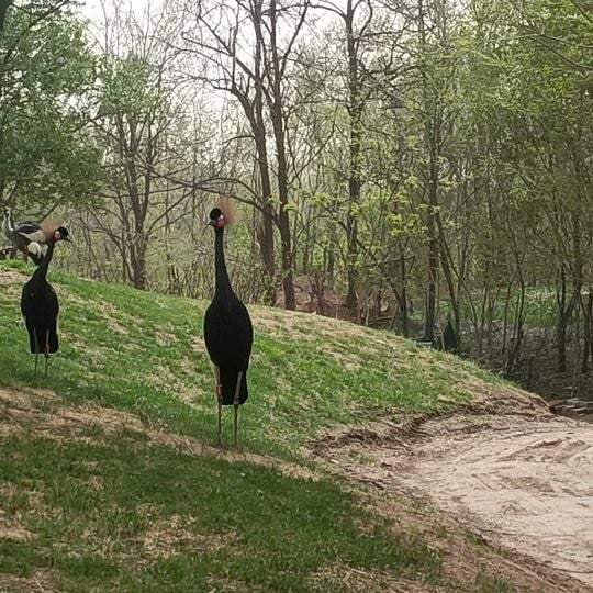 Beijing Wildlife Park