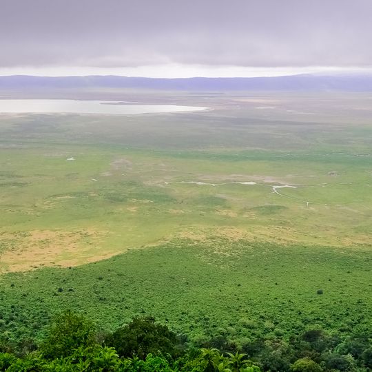 Ngorongoro Crater