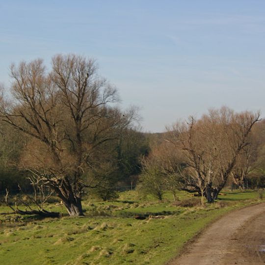 Lympne Escarpment