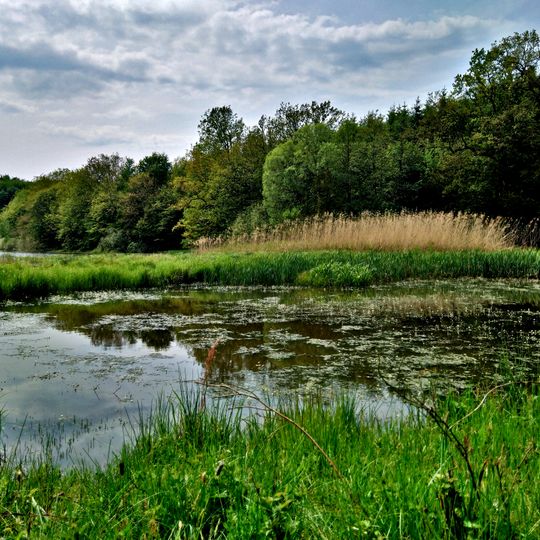 Talauen von Nidder und Hillersbach bei Gedern und Burkhards