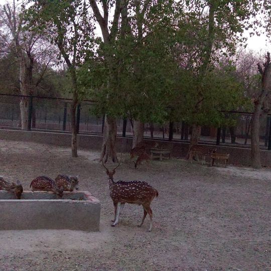 Vehari Wildlife Park