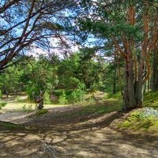 Шелтозерский берег (Шёлтозеро)