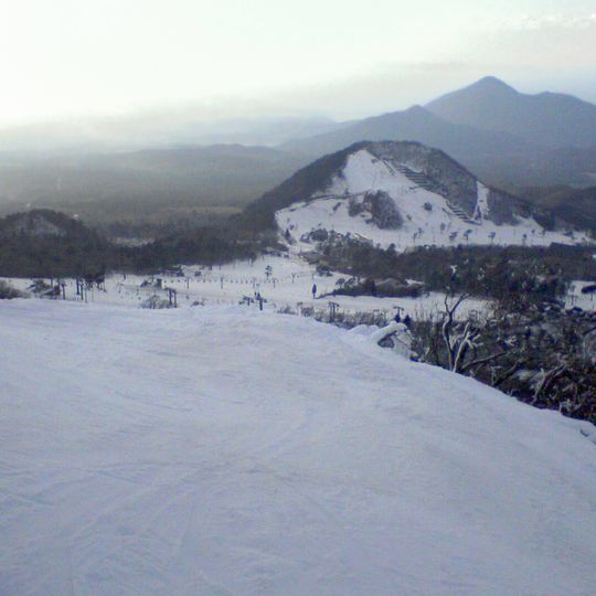 大山国際スキー場