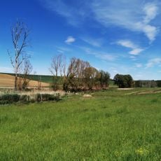 Naturdenkmal Feuchtgebiet Ried