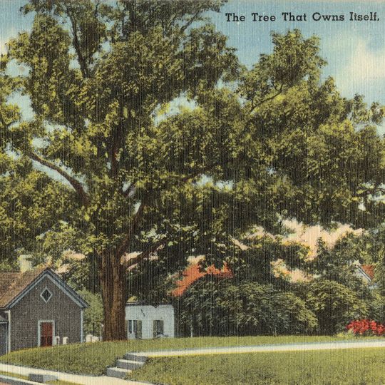 Tree That Owns Itself