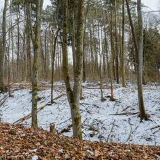 Ringgenburg (Esenhausen)