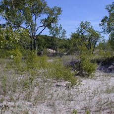 Deer Creek Marsh Wildlife Management Area