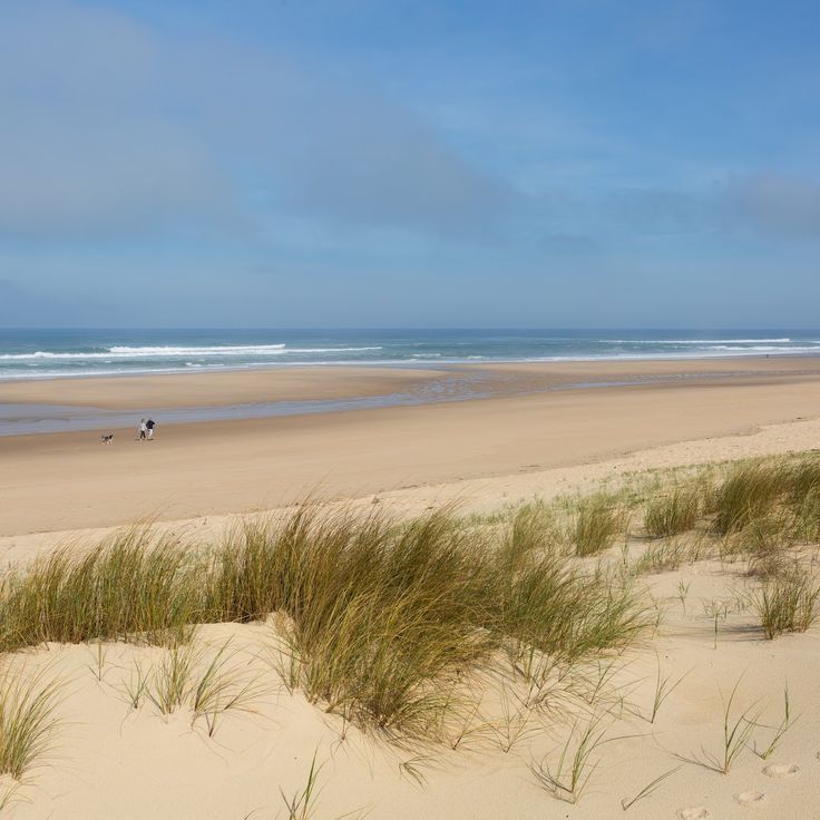 Plage centrale du Porge (Le Gressier)