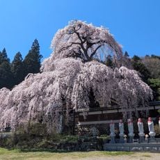 Tōzen-ji