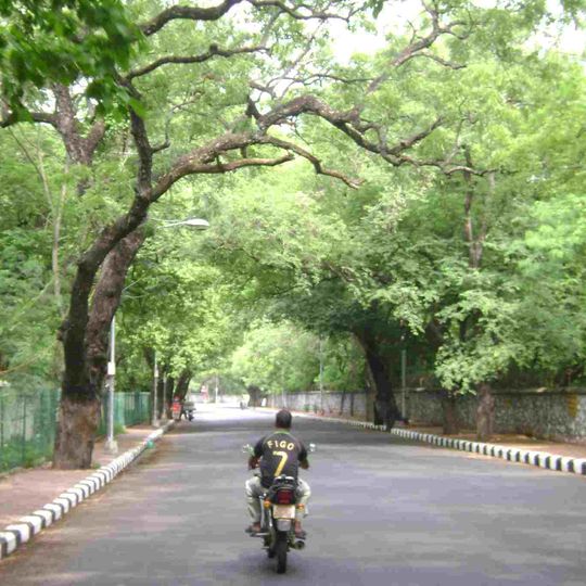 Besant Nagar