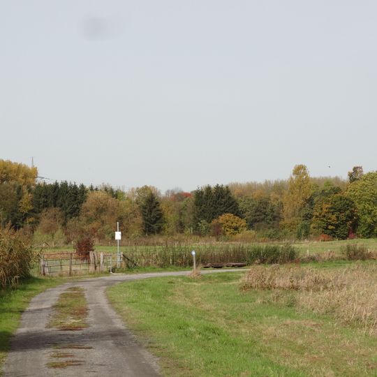 NSG Oberwerrieser Mersch