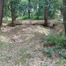 Trinxeres del bosc de Can Puig