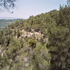 Cinglera de la Rovira de Sant Amanç