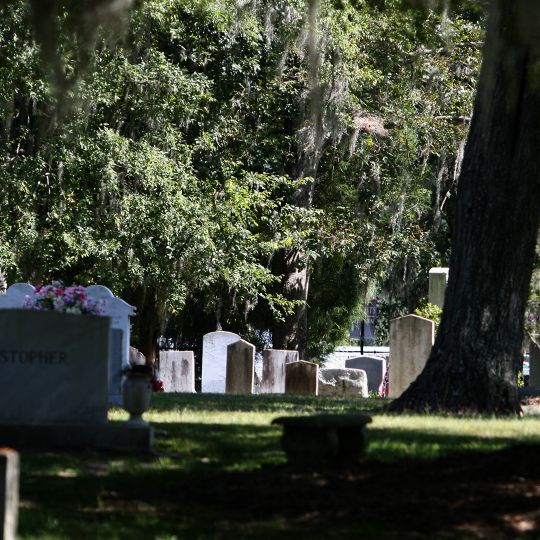 Old White Meeting House Ruins and Cemetery