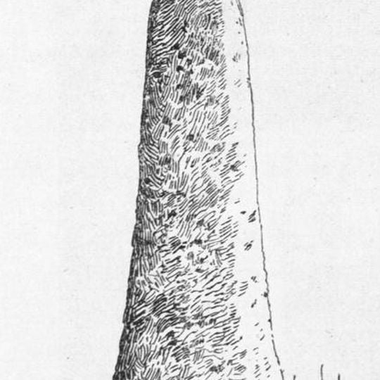 Cruz del Rey Don Sancho