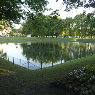 Carps Pond in Summer Garden