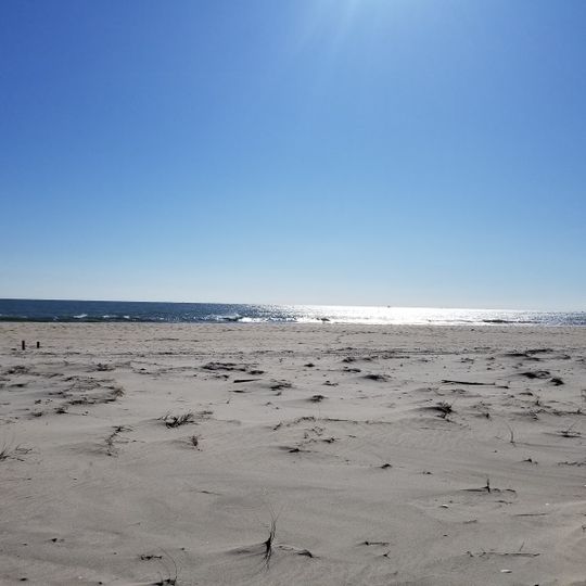 Cupsogue Beach County Park
