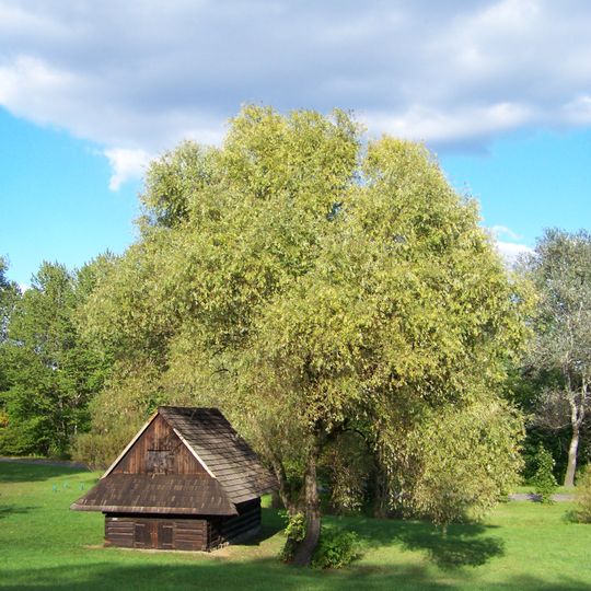Upper Silesian Ethnographic Park