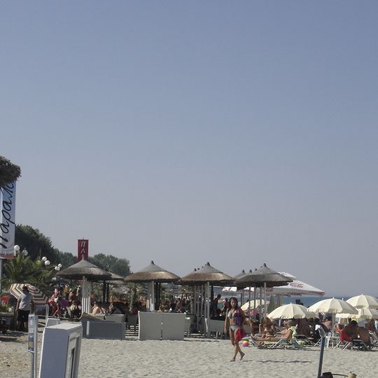Leptokarya