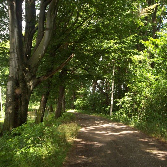 Maciejowiec Palace Park