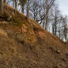 Burtnieka smilšakmens atsegumi