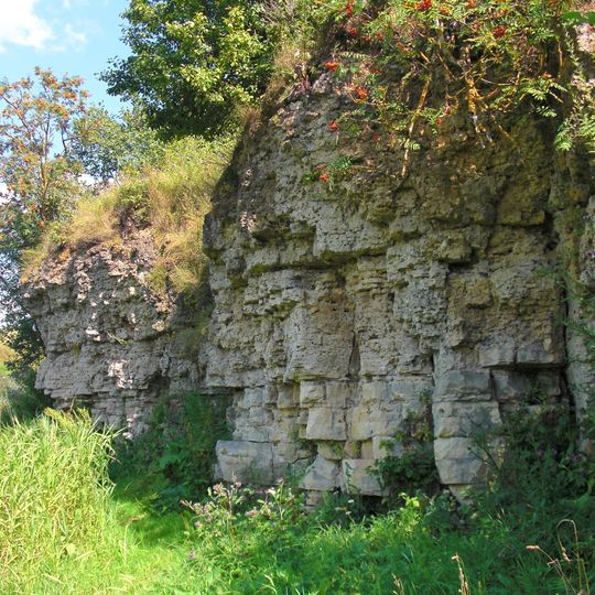 Skaliai Hill outcrop
