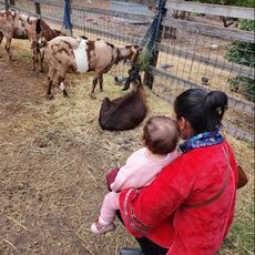Collingwood Children's Farm