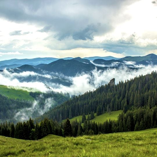 Obwód iwanofrankiwski