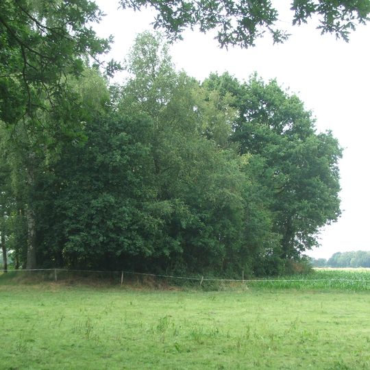 Hügelgräber bei Rispel