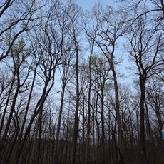 Pounds Hollow Recreation Area
