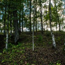 Vella cepure - senkapi