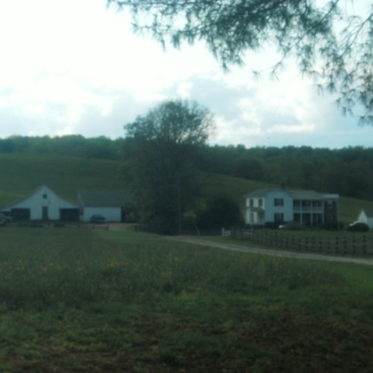 Meadow Grove Farm